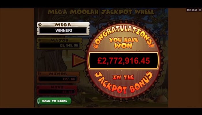 jackpot win on Mega Moolah slot