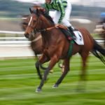 Pari-Mutuel Betting