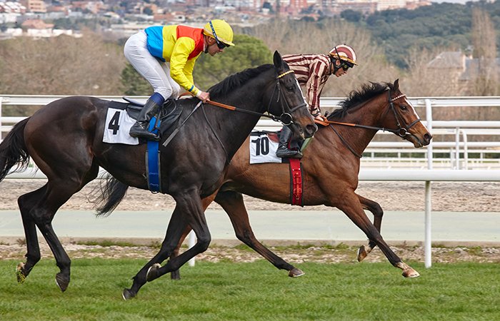 Pari-Mutuel Betting horse race