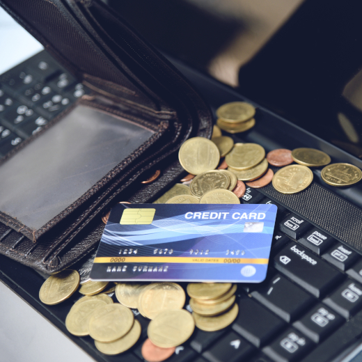 Money and Credit Cards on Computer
