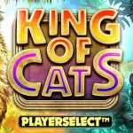 King of Cats Playerselect slot logo
