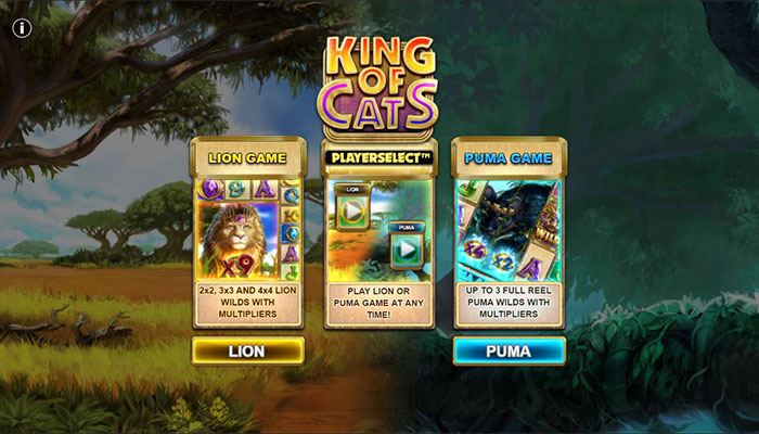 King of Cats Playerselect slot gameplay