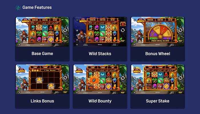 Wild Bounty game features