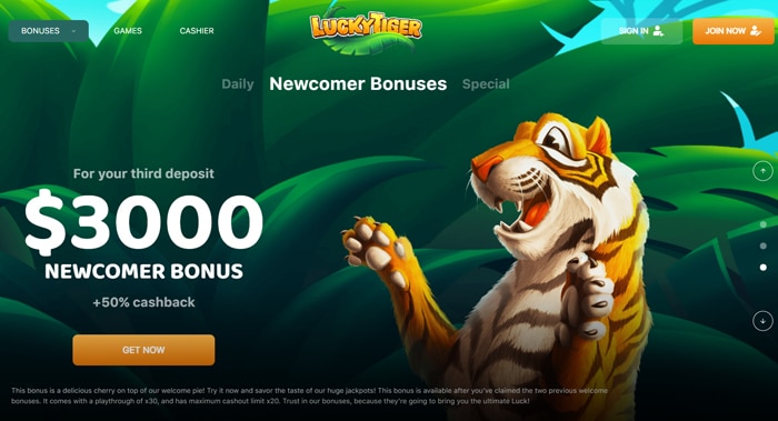 Lucky Tiger Casino Newcomer Bonus