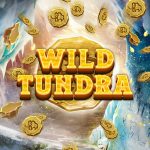 Wild Tundra slot logo