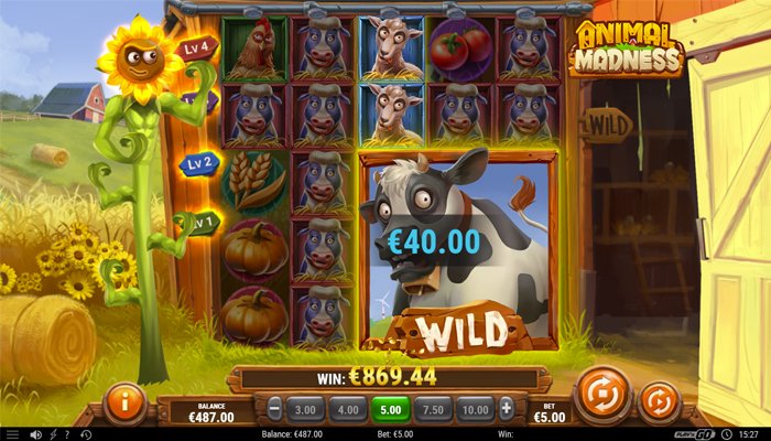 Animal madness by Play’n GO