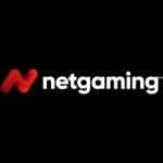 Netgaming logo big og24