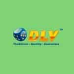 DLV logo big og24