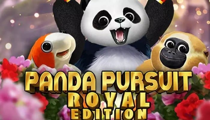 Panda Pursuit is a popular slot powered by Radi8