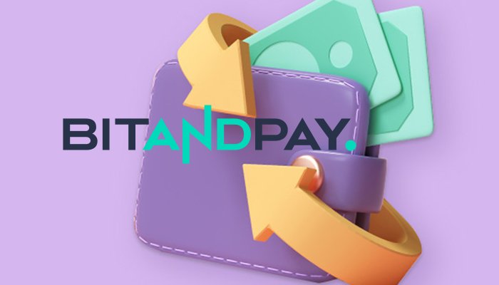 Bitandpay was launched in 2020