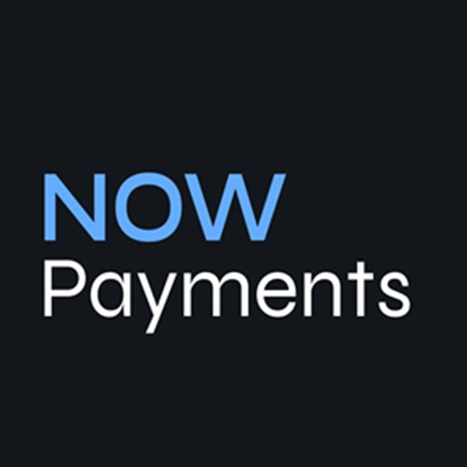 NOWPayments logo big og24