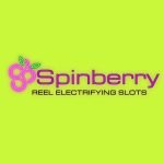 Spinbberry logo big og24
