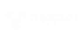 Stormcraft Studios