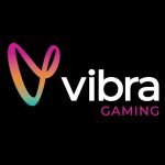 Vibra Gaming logo big og24