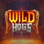 Wild Hogs from Stakelogic