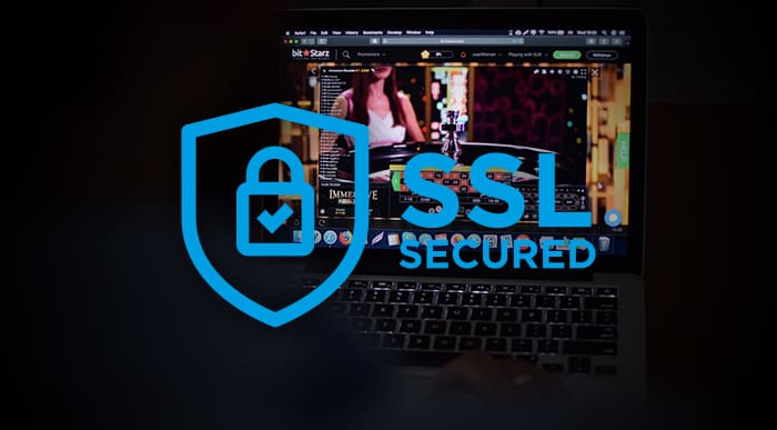 SSL Security logo