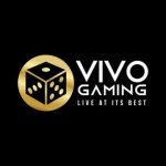 Vivo Gaming logobig og24