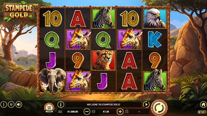 Stampede Gold video slot gameplay