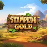Stampede Gold video slot logo