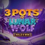 3 Pots of Lunar Wolf - Hold and Win video slot logo
