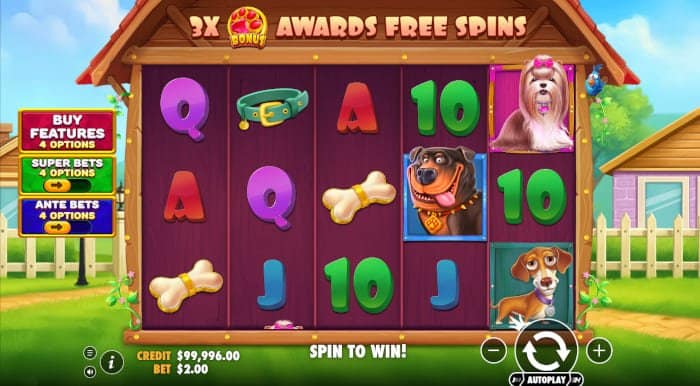 The Big Dog House video slot base gameplay