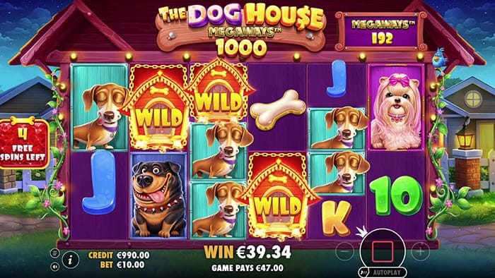 The Dog House Megaways 1000 video slot gameplay